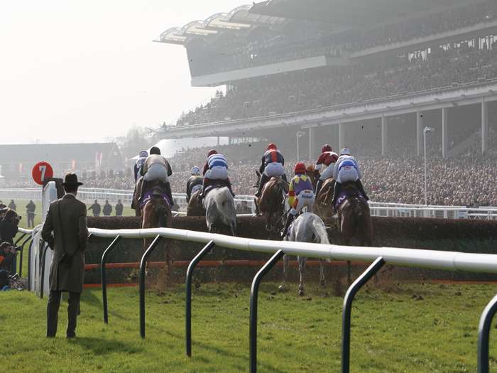 Tour The Cheltenham Gold Cup Experience National Holidays 17813